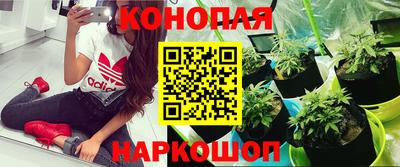 ECSTASY Владивосток