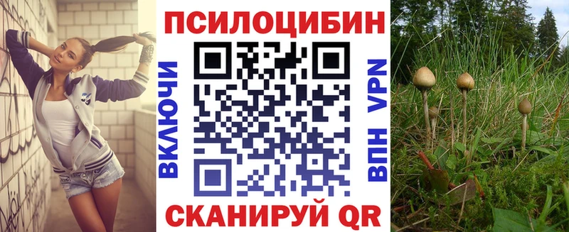 KRAKEN вход  Богданович  Псилоцибиновые грибы мухоморы 