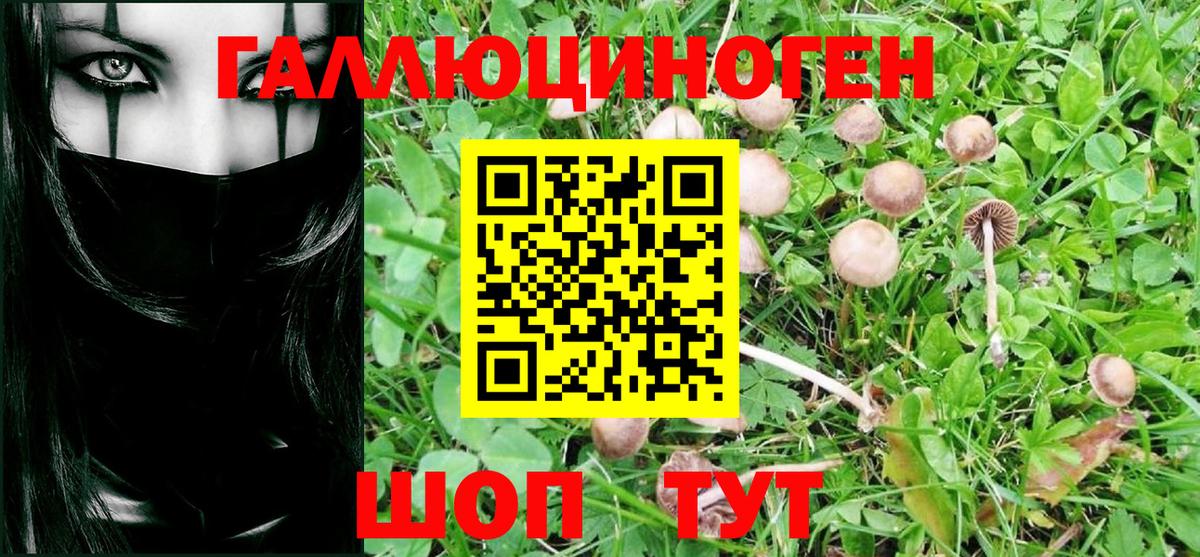 Галлюциногенные грибы Psilocybine cubensis  купить наркотик  Вход с VPN  Богданович  Галлюциногенные грибы ЛСД 